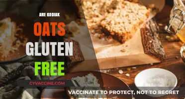 Are Kodiak Oats Gluten-Free? A Complete Guide for Celiac Diets