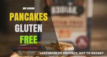 Are Kodiak Pancakes Gluten-Free? A Complete Guide for Breakfast Lovers