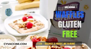 Are Kodiak Waffles Gluten-Free? A Complete Guide for Celiacs
