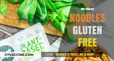 Are Konjac Noodles Gluten-Free? A Complete Guide for Celiacs