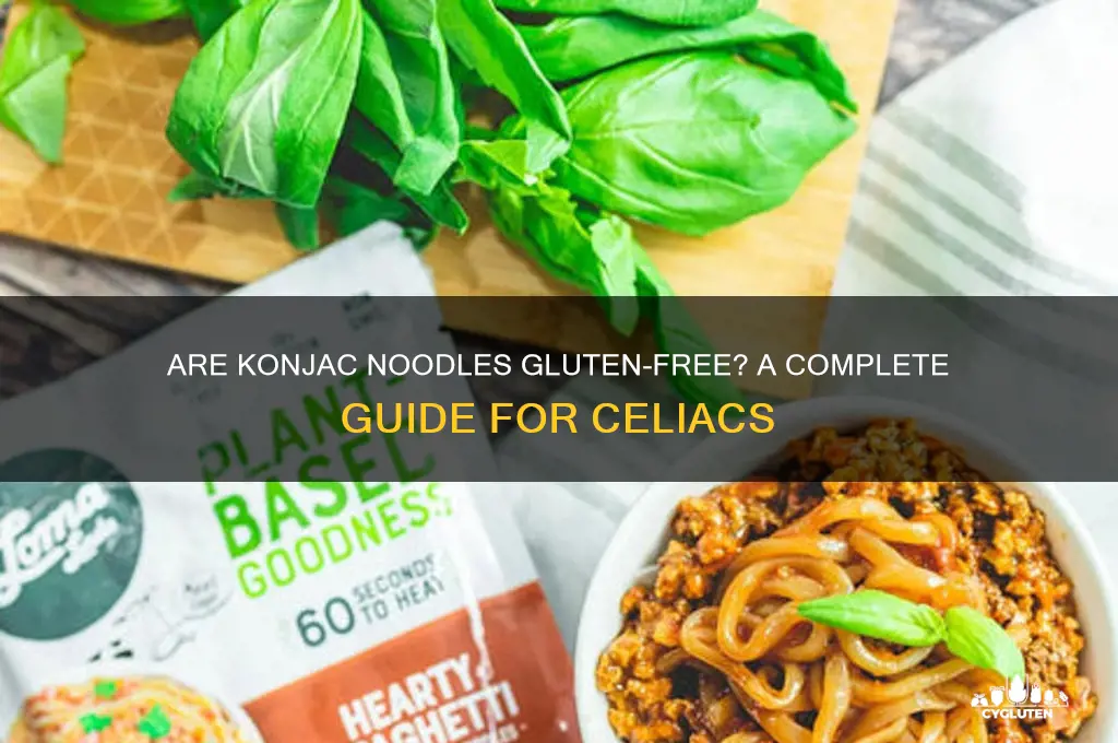 are konjac noodles gluten free