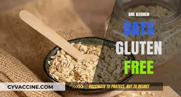 Are Kosher Oats Gluten-Free? Understanding Certification and Safety