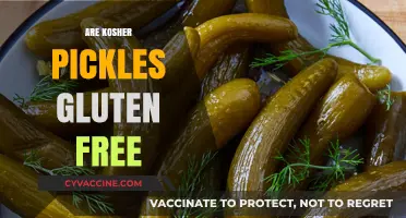 Are Kosher Pickles Gluten-Free? A Complete Guide to Ingredients