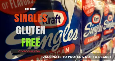 Are Kraft Singles Gluten-Free? A Complete Guide for Cheese Lovers