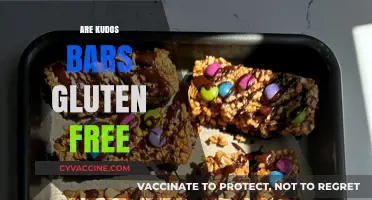 Are Kudos Bars Gluten-Free? A Complete Guide for Snack Lovers