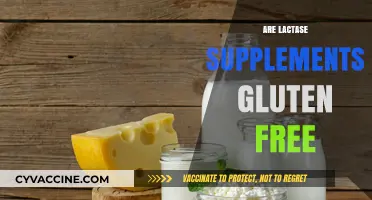 Are Lactase Supplements Gluten-Free? A Comprehensive Guide for Consumers