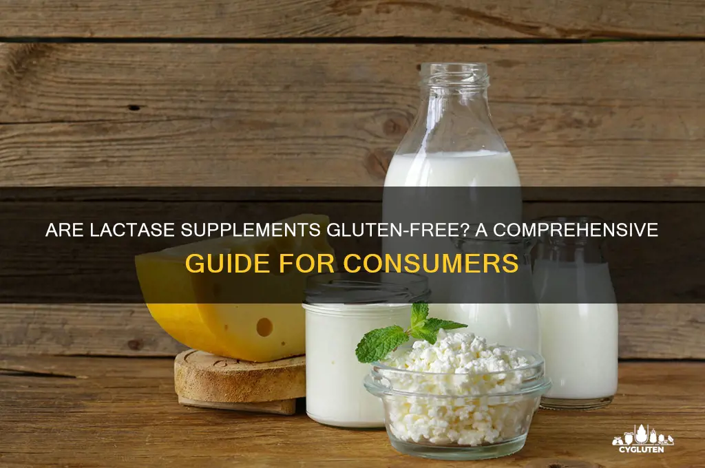 are lactase supplements gluten free