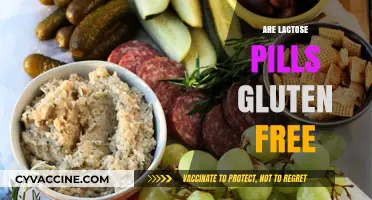 Are Lactose Pills Gluten-Free? A Comprehensive Guide for Consumers