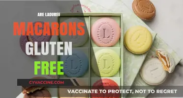 Are Ladurée Macarons Gluten-Free? A Sweet Guide for Dietary Needs