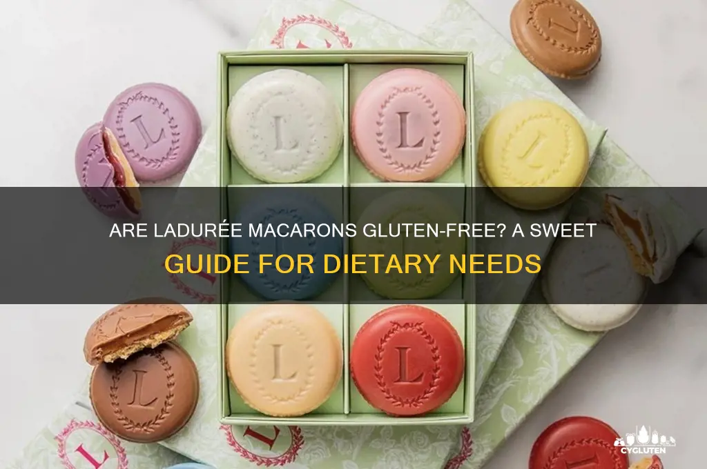 are laduree macarons gluten free