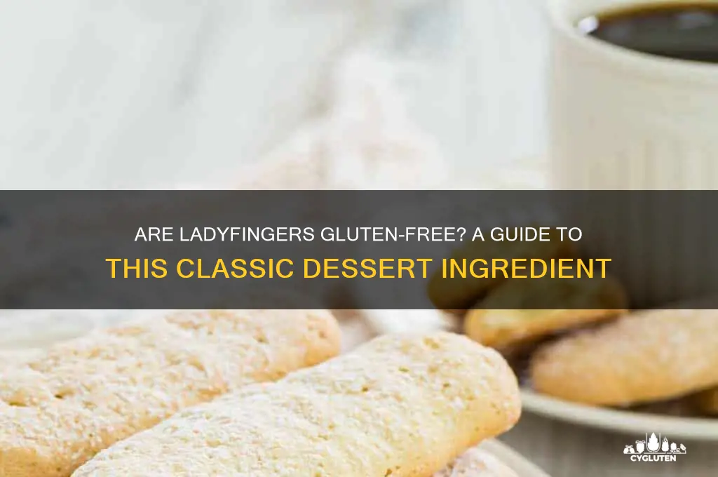 are lady fingers gluten free