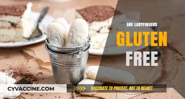 Are Ladyfingers Gluten-Free? A Guide to This Classic Dessert Ingredient