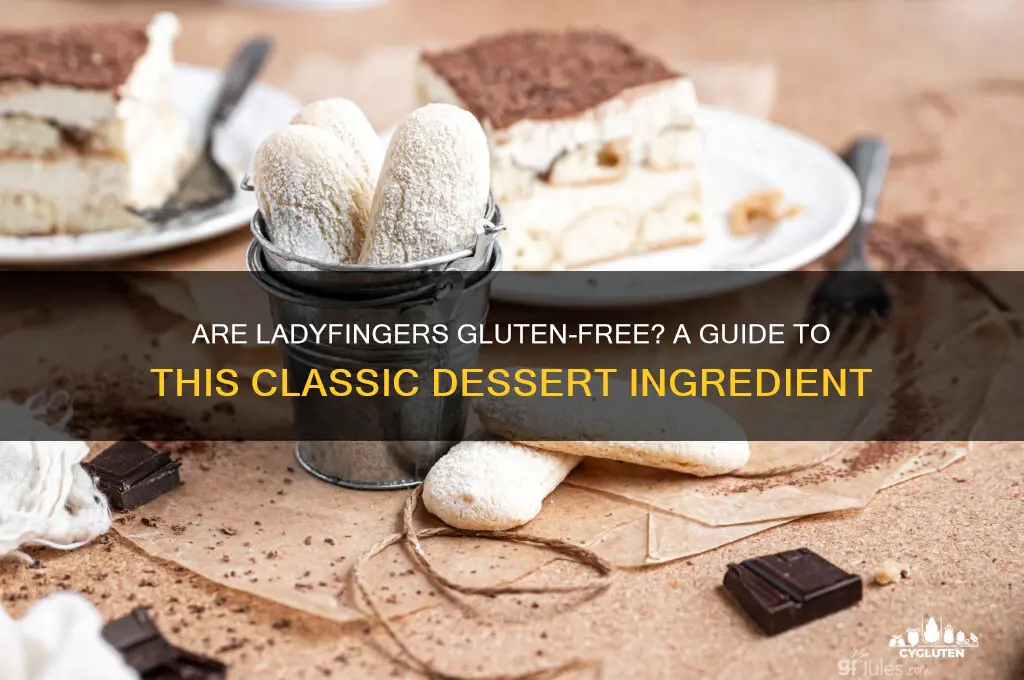 are ladyfingers gluten free