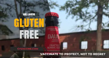 Are Lagers Gluten-Free? Exploring Beer Options for Celiac Diets