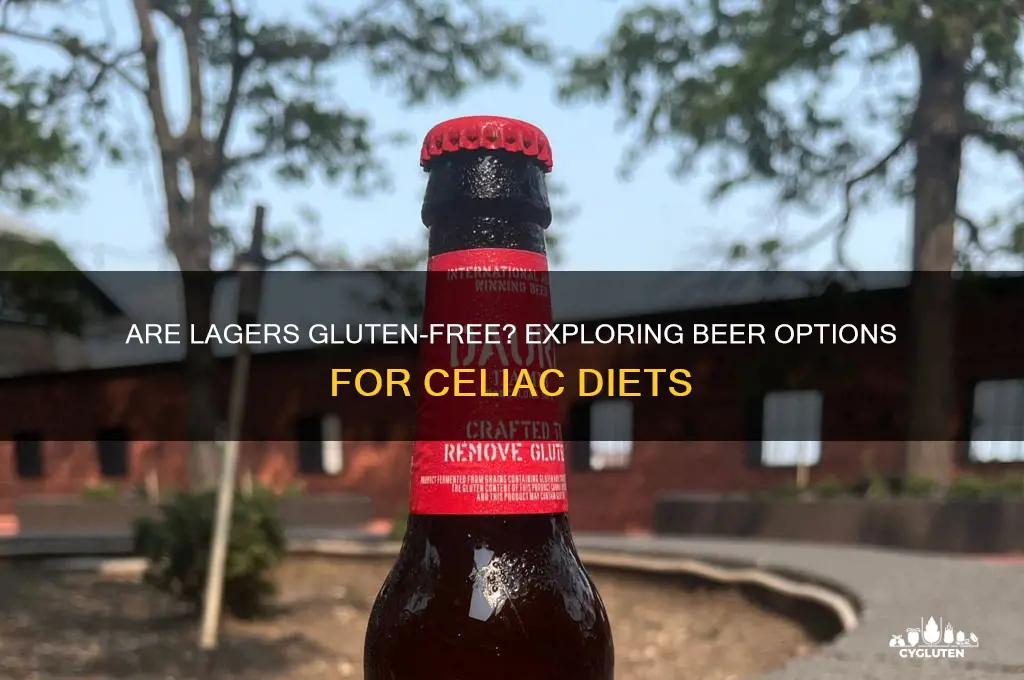 are lagers gluten free
