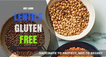 Are Laird Lentils Gluten-Free? A Comprehensive Guide for Dieters