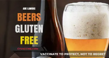 Are Lambic Beers Gluten-Free? Exploring the Truth for Celiac Drinkers
