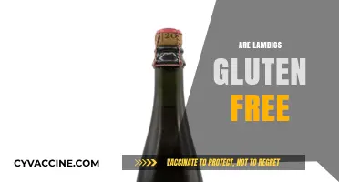 Are Lambics Gluten-Free? Exploring the Truth for Celiac Beer Lovers