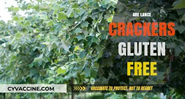 Are Lance Crackers Gluten-Free? A Complete Guide for Snack Lovers