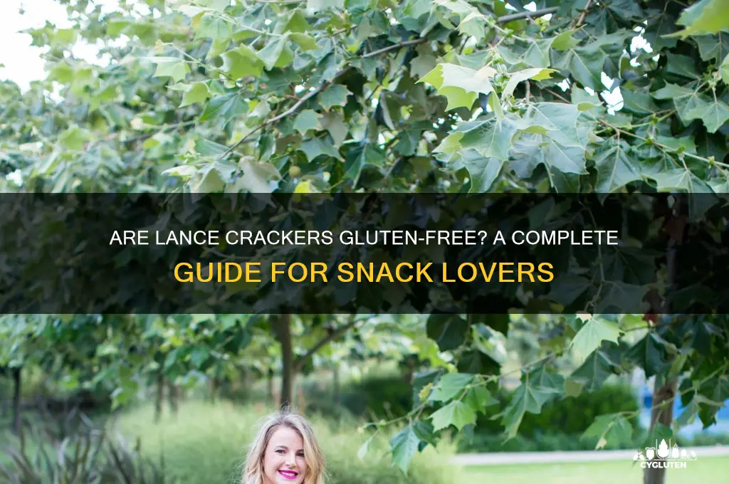 are lance crackers gluten free
