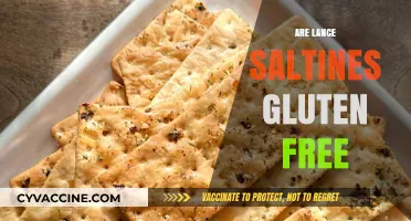 Are Lance Saltines Gluten-Free? A Complete Guide for Celiac Diets