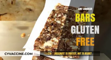Are Larabar Bars Gluten-Free? A Complete Guide to Ingredients