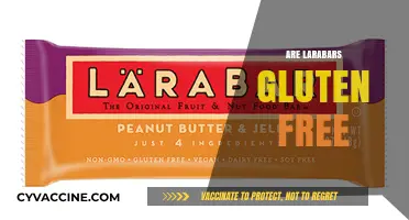 Are Larabars Gluten-Free? A Complete Guide to Ingredients and Safety