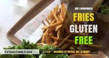 Are Larkburger Fries Gluten-Free? A Complete Guide for Celiac Diners