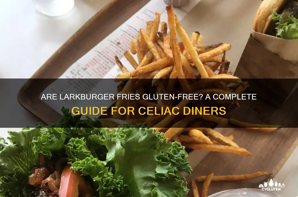 are larkburger fries gluten free