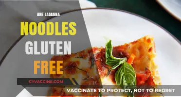 Gluten-Free Lasagna Noodles: Exploring Options for a Delicious Dish