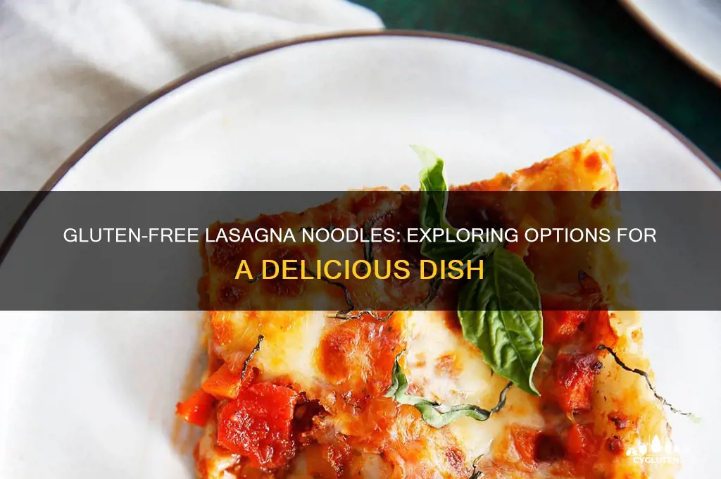 are lasagna noodles gluten free