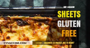 Are Lasagne Sheets Gluten-Free? A Guide to Safe Pasta Options