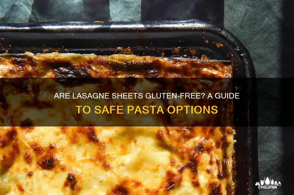 are lasagne sheets gluten free