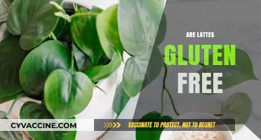 Are Lattes Gluten-Free? Exploring Coffee Shop Options for Celiac Diets
