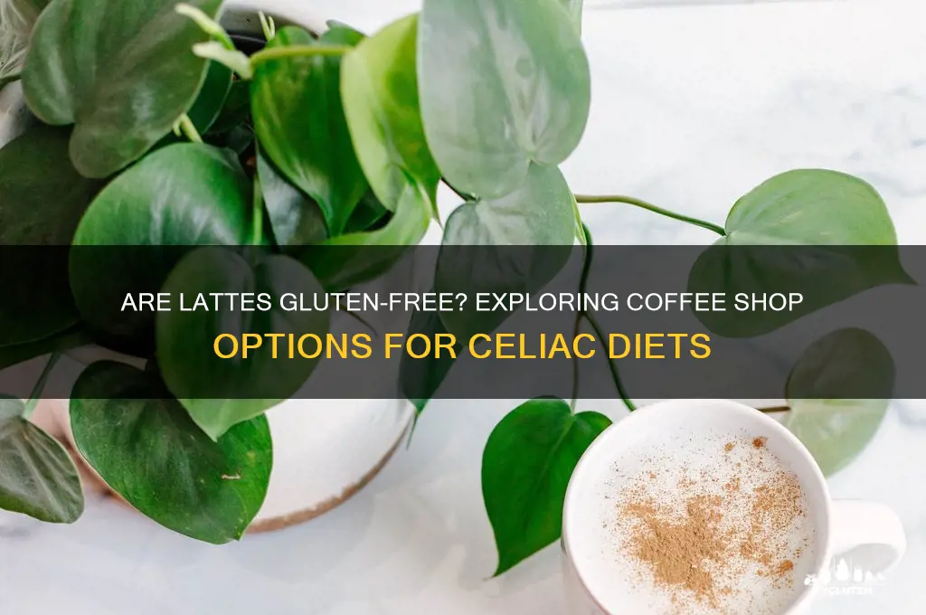 are lattes gluten free