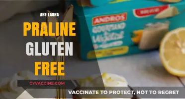 Are Laura Praline Treats Gluten-Free? A Complete Guide