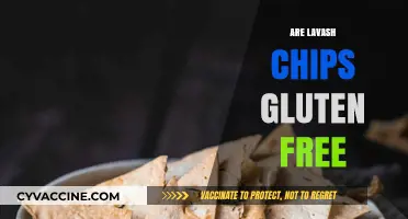 Are Lavash Chips Gluten-Free? A Crunchy Snack Fact Check