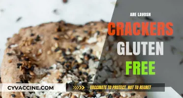 Are Lavosh Crackers Gluten-Free? A Comprehensive Guide for Snack Lovers