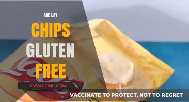 Are Lay's Chips Gluten-Free? A Crunchy Snack Fact Check
