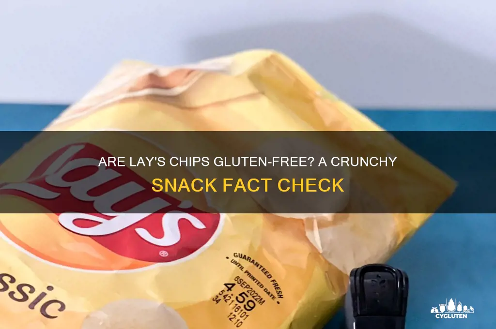 are lay chips gluten free