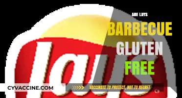 Are Lays Barbecue Chips Gluten-Free? A Complete Guide