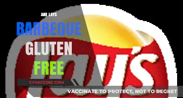 Are Lays BBQ Chips Gluten-Free? A Complete Guide