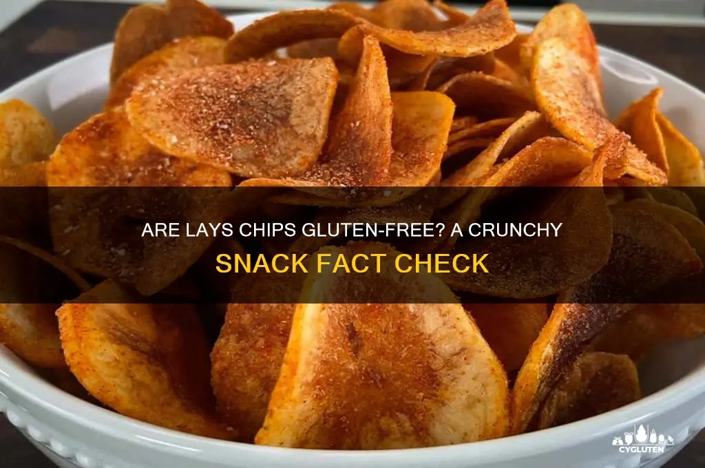 are lays chips gluten free
