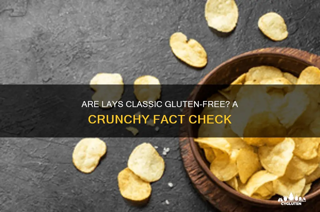 are lays classic gluten free