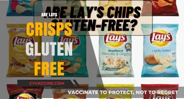 Are Lays Crisps Gluten-Free? A Crunchy Snack Fact Check