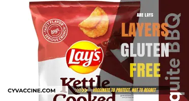 Are Lays Chips Gluten-Free? A Crunchy Fact Check