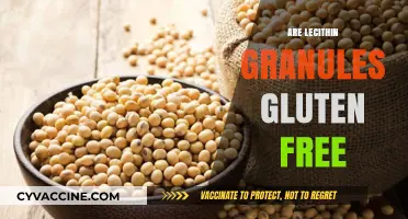 Lecithin Granules and Gluten: Unraveling the Facts for a Healthy Diet