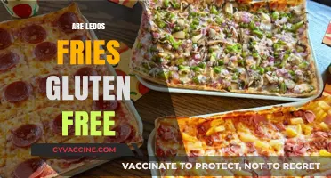 Are Ledo's Fries Gluten-Free? A Complete Guide for Celiac Diners