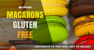 Are Leilalove Macarons Gluten-Free? A Tasty Inquiry