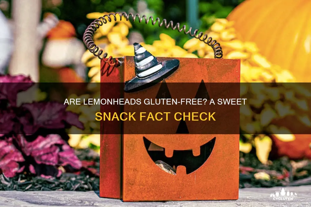 are lemonheads gluten-free